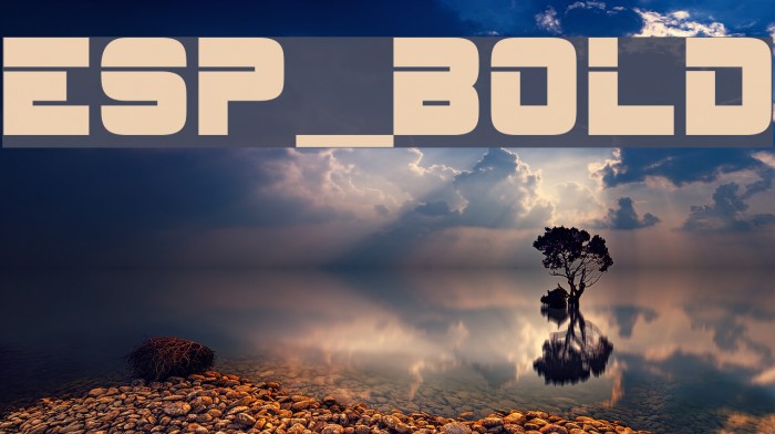 ESP_Bold Font examples