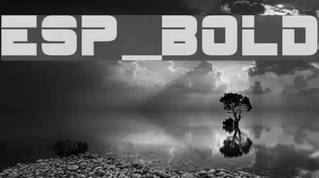 ESP_Bold Caratteri examples