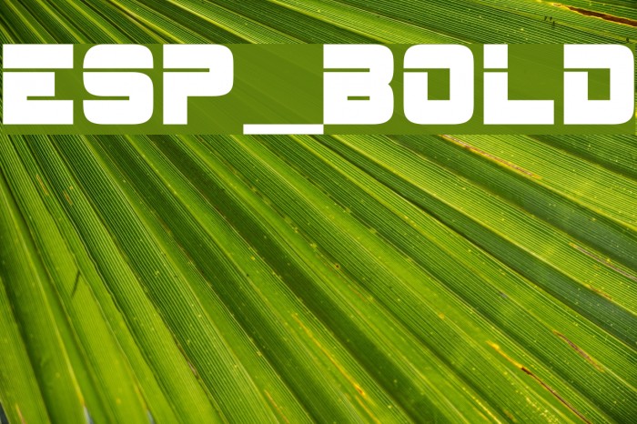 ESP_Bold Font examples