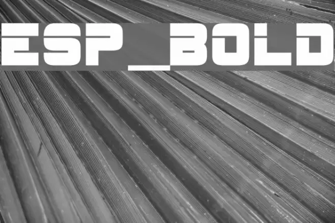 ESP_Bold Caratteri examples