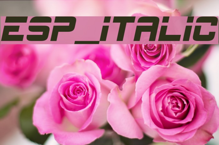 ESP_Italic Font examples