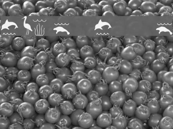 ESRI Environmental  Icons フォント examples