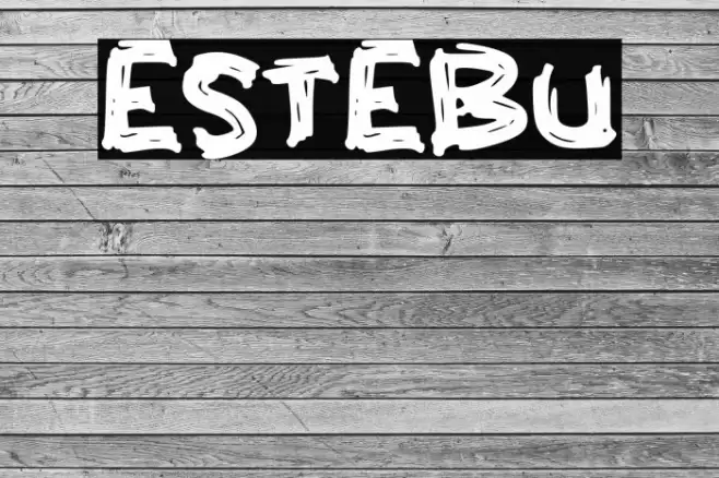 ESTEBU Font examples