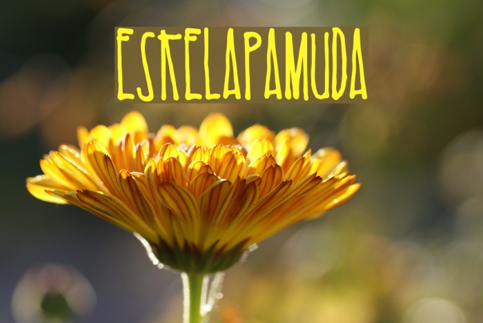 EsKelapaMuda Font examples