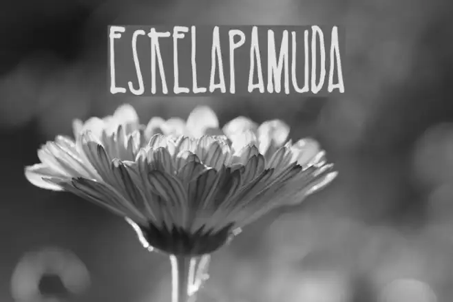 EsKelapaMuda Example 2