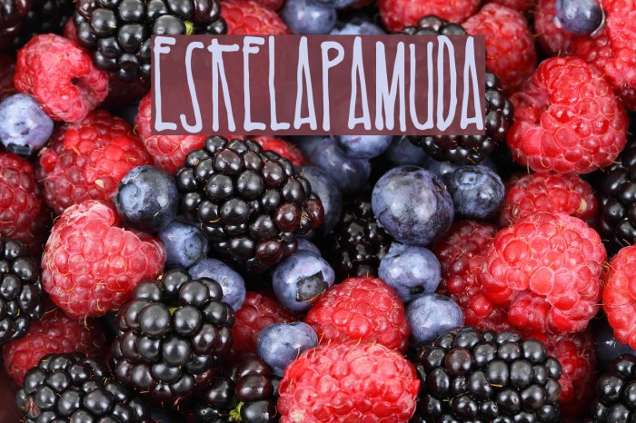 EsKelapaMuda Font examples