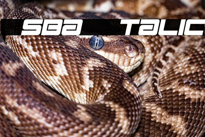 Esba - Italic Example 1