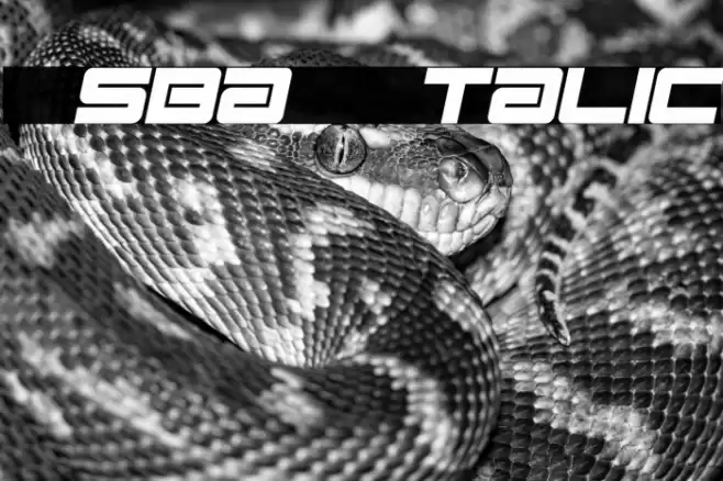 Esba - Italic Font examples