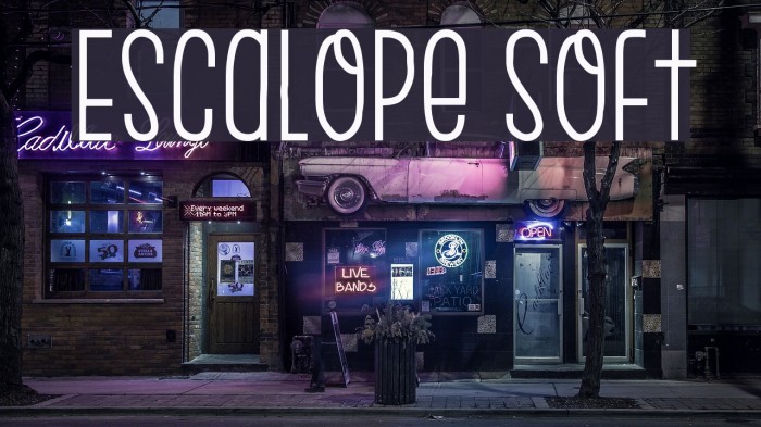 Escalope Soft Font examples