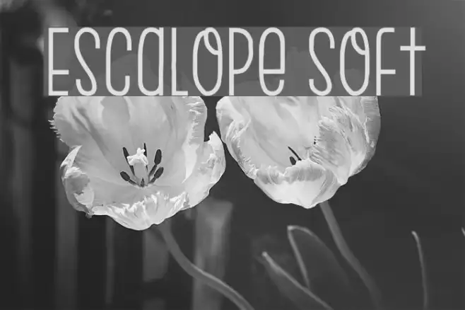 Escalope Soft Example 2