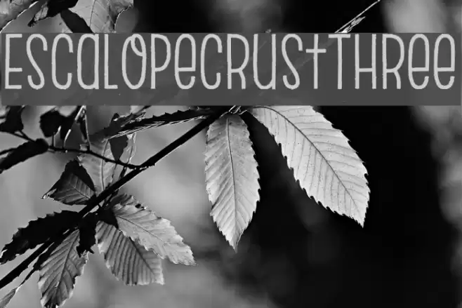 EscalopeCrustThree Font examples