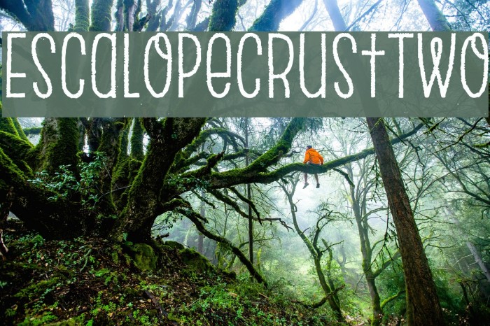EscalopeCrustTwo Font examples