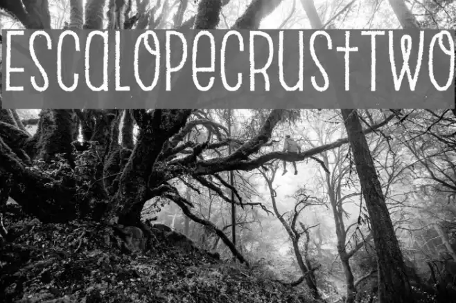 EscalopeCrustTwo Example 2