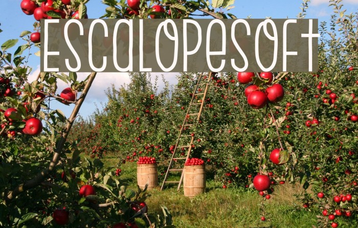 EscalopeSoft Шрифта examples