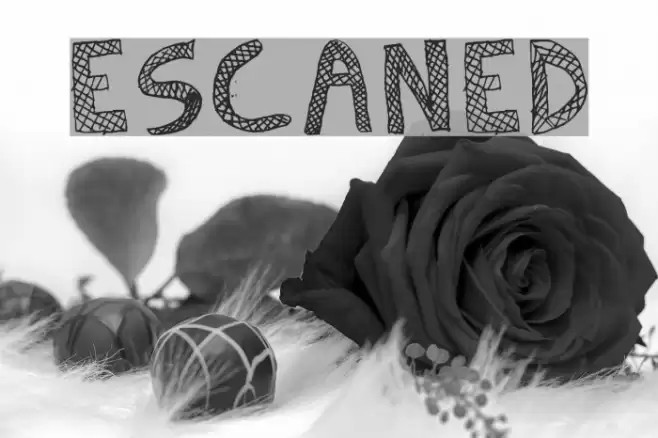 Escaned Font examples