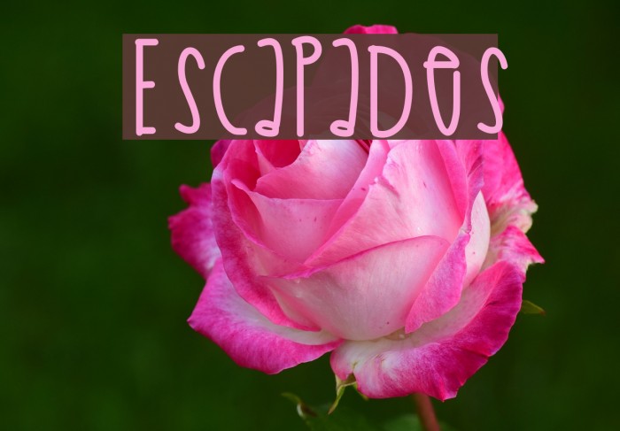 Escapades Font examples