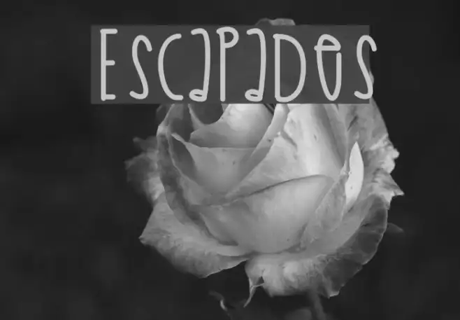Escapades Example 3