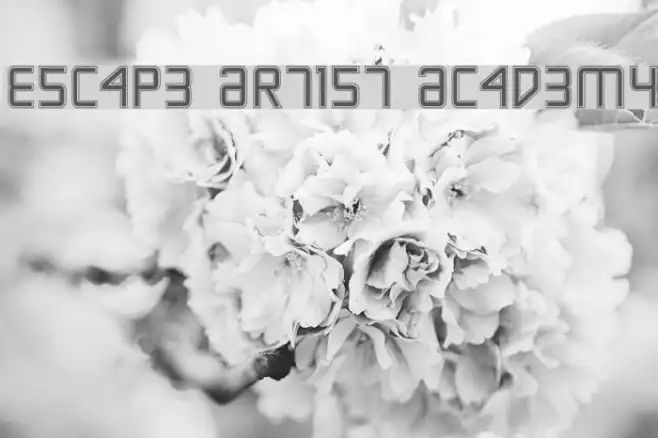 Escape Artist Academy Example 1