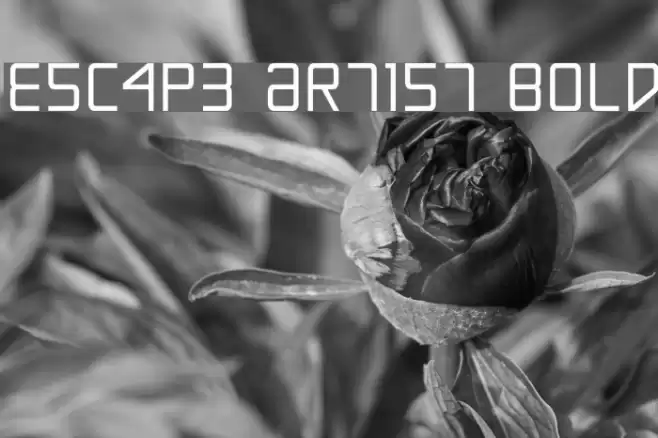 Escape Artist Bold Fonte examples