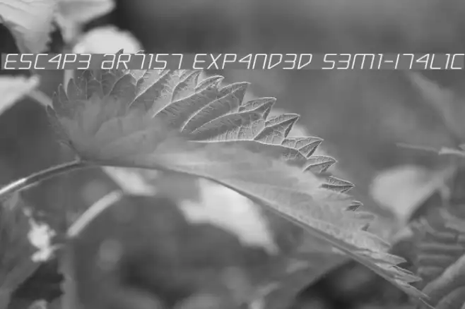 Escape Artist Expanded Semi-Italic Example 2