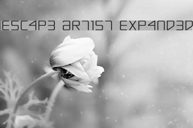 Escape Artist Expanded Polices examples