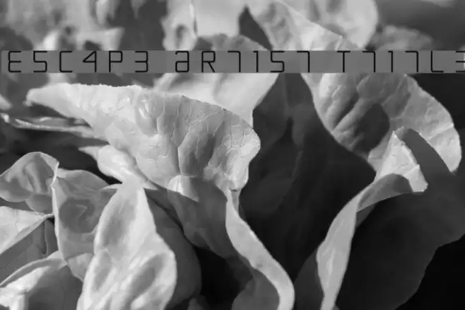 Escape Artist Ttitle Font examples