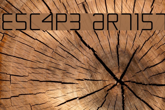 Escape Artist Font examples