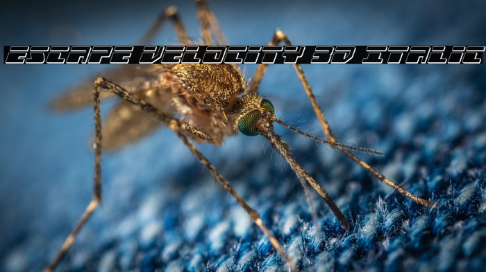 Escape Velocity 3D Italic Example 2
