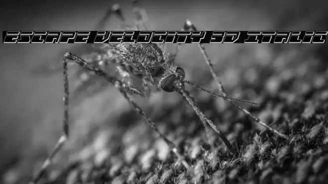 Escape Velocity 3D Italic Font examples