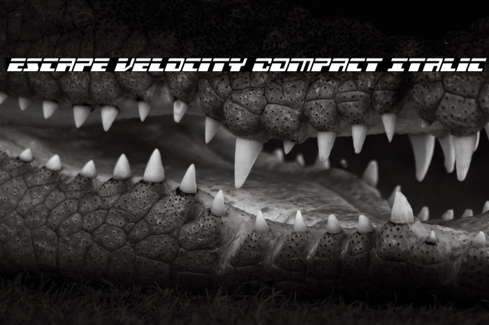 Escape Velocity Compact Italic Example 1