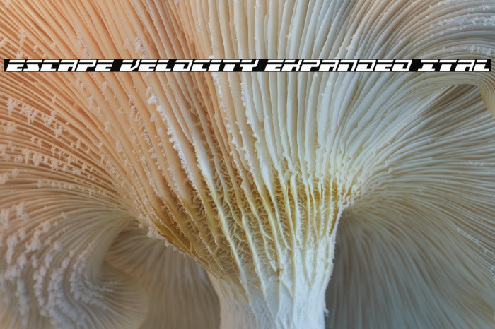 Escape Velocity Expanded Ital Example 1