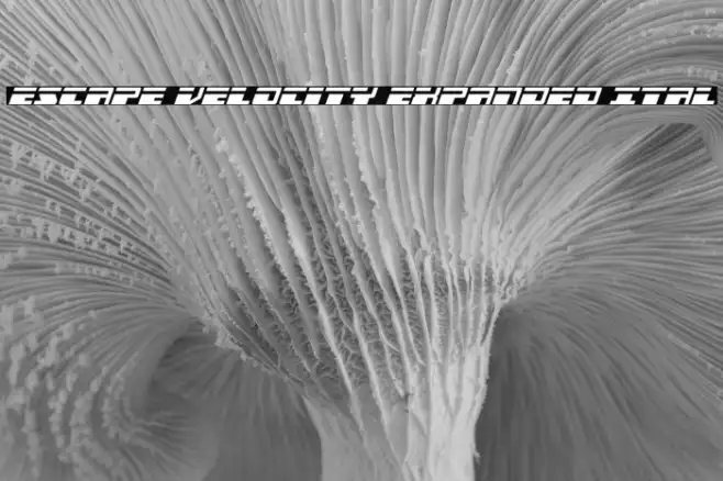 Escape Velocity Expanded Ital Example 1