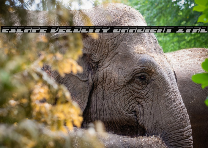 Escape Velocity Gradient Ital Example 2