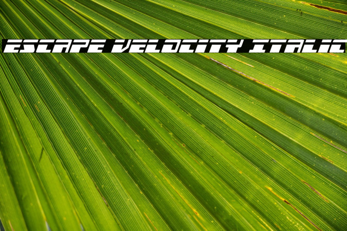 Escape Velocity Italic Example 1