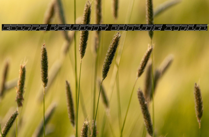 Escape Velocity Outline Italic Example 1