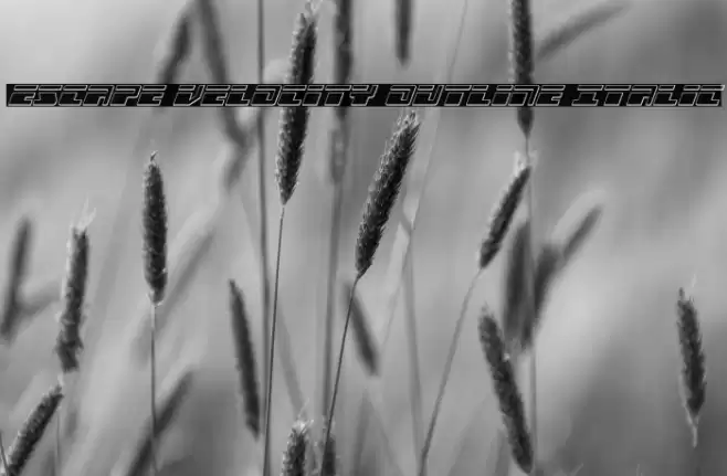 Escape Velocity Outline Italic Font examples