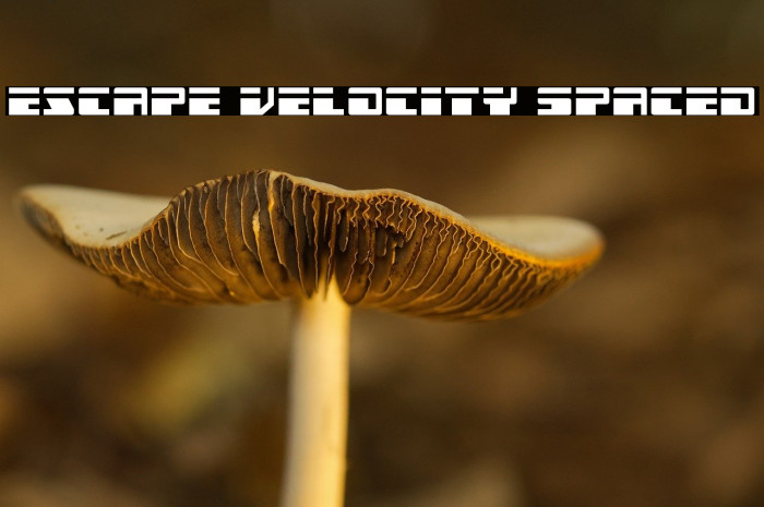 Escape Velocity Spaced Example 1