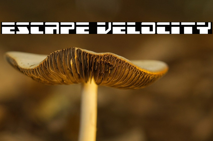 Escape Velocity Example 2