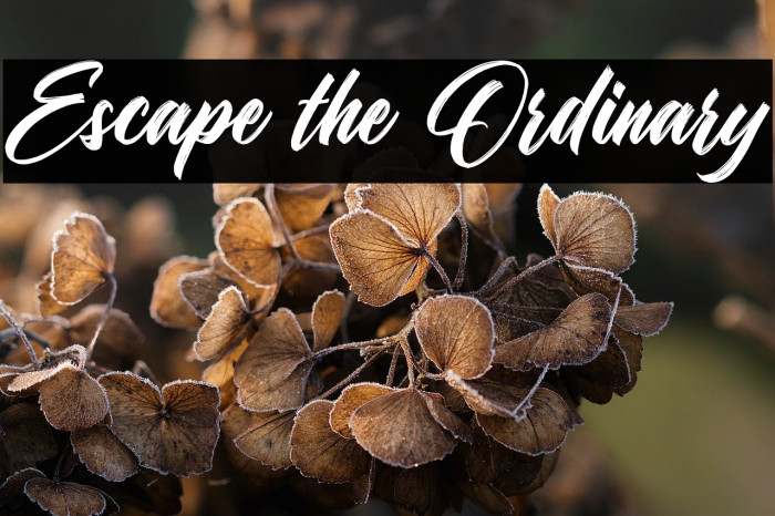 Escape the Ordinary Example 2