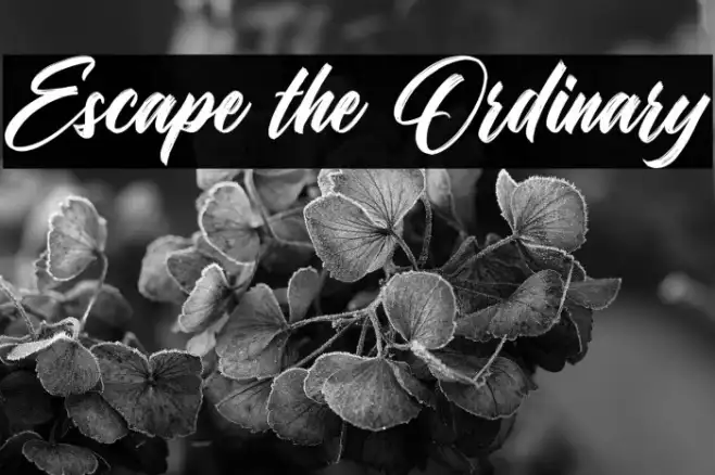 Escape the Ordinary Example 2