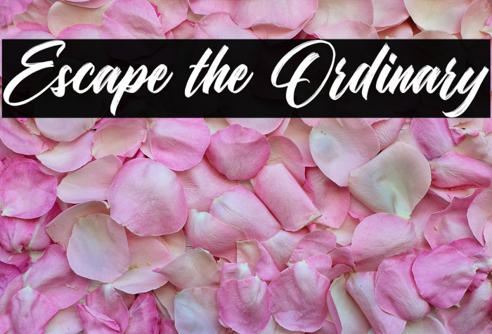 Escape the Ordinary Example 3