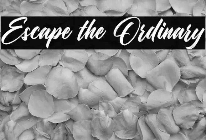 Escape the Ordinary Example 3