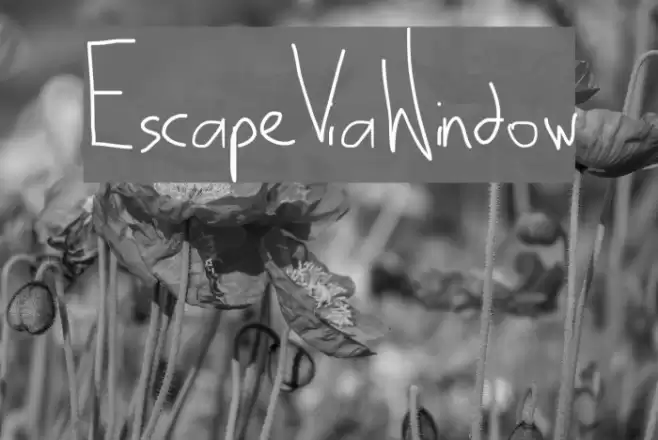 EscapeViaWindow Font examples
