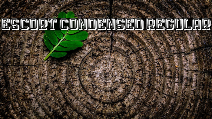 Escort Condensed Regular Example 2