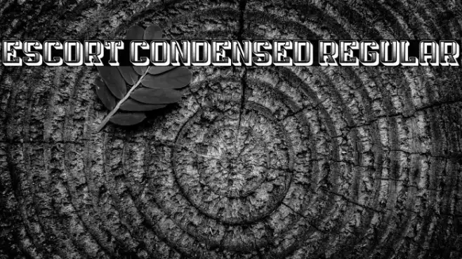 Escort Condensed Regular Example 2