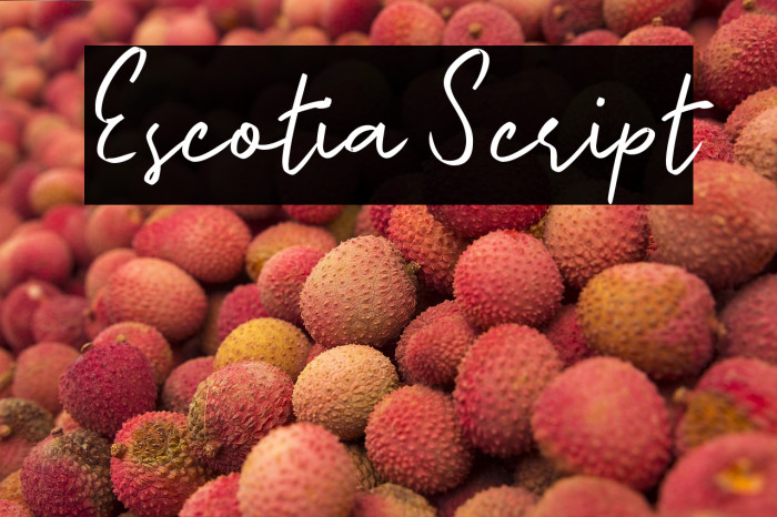 Escotia Script Example 1