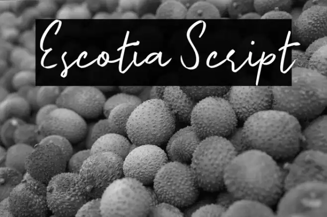 Escotia Script Example 1
