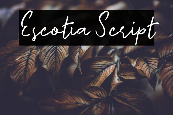 Escotia Script Example 3