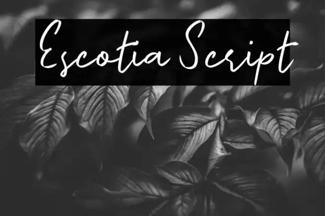 Escotia Script Example 3