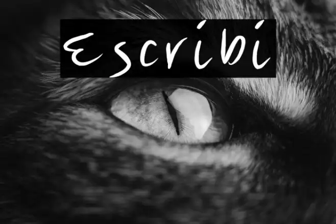 Escribi Example 2